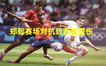 郑智赛场对抗致西塞重伤