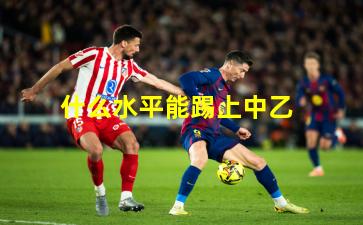 什么水平能踢上中乙