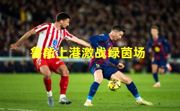 鲁能上港激战绿茵场