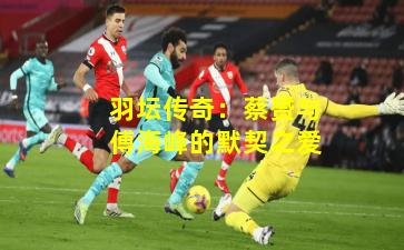 羽坛传奇：蔡赟与傅海峰的默契之爱