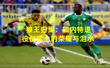 狼王归巢：加内特退役仪式上的荣耀与泪水