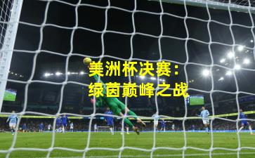 美洲杯决赛：绿茵巅峰之战